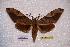  ( - BC-RBP-0187)  @13 [ ] Copyright (2010) Unspecified Research Collection of Ron Brechlin