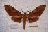  ( - BC-RBP-0188)  @13 [ ] Copyright (2010) Unspecified Research Collection of Ron Brechlin