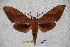  ( - BC-RBP-1136)  @12 [ ] Copyright (2010) Unspecified Research Collection of Ron Brechlin