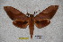  ( - BC-RBP-1137)  @12 [ ] Copyright (2010) Unspecified Research Collection of Ron Brechlin