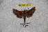  ( - BC-RBP-1161)  @12 [ ] Copyright (2010) Unspecified Research Collection of Ron Brechlin