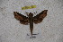  ( - BC-RBP-1203)  @11 [ ] Copyright (2010) Unspecified Research Collection of Ron Brechlin