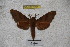  ( - BC-RBP-1231)  @13 [ ] Copyright (2010) Unspecified Research Collection of Ron Brechlin