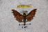  ( - BC-RBP-1258)  @13 [ ] Copyright (2010) Unspecified Research Collection of Ron Brechlin