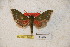  ( - BC-RBP-1288)  @12 [ ] Copyright (2010) Unspecified Research Collection of Ron Brechlin