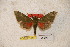  ( - BC-RBP-1289)  @12 [ ] Copyright (2010) Unspecified Research Collection of Ron Brechlin