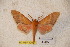  ( - BC-RBP-1290)  @13 [ ] Copyright (2010) Unspecified Research Collection of Ron Brechlin