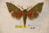  ( - BC-RBP-1291)  @13 [ ] Copyright (2010) Unspecified Research Collection of Ron Brechlin