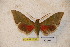  ( - BC-RBP-1293)  @11 [ ] Copyright (2010) Unspecified Research Collection of Ron Brechlin