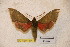  ( - BC-RBP-1294)  @11 [ ] Copyright (2010) Unspecified Research Collection of Ron Brechlin