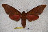  ( - BC-RBP-1307)  @13 [ ] Copyright (2010) Unspecified Research Collection of Ron Brechlin