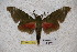  ( - BC-RBP-1309)  @13 [ ] Copyright (2010) Unspecified Research Collection of Ron Brechlin