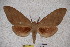  ( - BC-RBP-1314)  @12 [ ] Copyright (2010) Unspecified Research Collection of Ron Brechlin