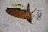  ( - BC-RBP-1535)  @12 [ ] Copyright (2010) Unspecified Research Collection of Ron Brechlin