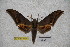  ( - BC-RBP-1734)  @11 [ ] Copyright (2010) Unspecified Research Collection of Ron Brechlin