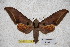  ( - BC-RBP-1759)  @13 [ ] Copyright (2010) Unspecified Research Collection of Ron Brechlin