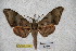  ( - BC-RBP-1788)  @14 [ ] Copyright (2010) Unspecified Research Collection of Ron Brechlin