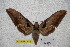  ( - BC-RBP-1822)  @14 [ ] Copyright (2010) Unspecified Research Collection of Ron Brechlin