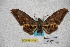  ( - BC-RBP-1846)  @13 [ ] Copyright (2010) Unspecified Research Collection of Ron Brechlin