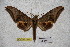  ( - BC-RBP-1847)  @14 [ ] Copyright (2010) Unspecified Research Collection of Ron Brechlin
