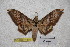  ( - BC-RBP-1878)  @13 [ ] Copyright (2010) Unspecified Research Collection of Ron Brechlin