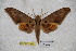  ( - BC-RBP-1936)  @14 [ ] Copyright (2010) Unspecified Research Collection of Ron Brechlin
