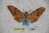  ( - BC-RBP-1937)  @13 [ ] Copyright (2010) Unspecified Research Collection of Ron Brechlin