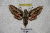  ( - BC-RBP-2286)  @13 [ ] Copyright (2010) Unspecified Research Collection of Ron Brechlin