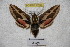  ( - BC-RBP-2288)  @12 [ ] Copyright (2010) Unspecified Research Collection of Ron Brechlin