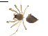  ( - BIOUG02782-D08)  @12 [ ] Copyright  G. Blagoev 2012 Unspecified