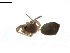  ( - BIOUG02782-G06)  @12 [ ] Copyright  G. Blagoev 2012 Unspecified
