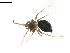  ( - BIOUG02783-D10)  @13 [ ] Copyright  G. Blagoev 2012 Unspecified