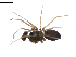  ( - BIOUG02783-G12)  @12 [ ] Copyright  G. Blagoev 2012 Unspecified