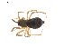  ( - BIOUG01972-D10)  @13 [ ] Copyright  G. Blagoev 2012 Unspecified