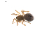  ( - BIOUG01973-E05)  @13 [ ] Copyright  G. Blagoev 2012 Unspecified