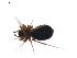  ( - BIOUG01973-E10)  @12 [ ] Copyright  G. Blagoev 2012 Unspecified