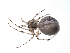  ( - BIOUG01973-F03)  @12 [ ] Copyright  G. Blagoev 2012 Unspecified