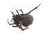  ( - BIOUG01973-F05)  @12 [ ] Copyright  G. Blagoev 2012 Unspecified