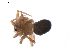  ( - BIOUG01974-B09)  @13 [ ] Copyright  G. Blagoev 2012 Unspecified