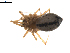  ( - BIOUG01974-H03)  @13 [ ] Copyright  G. Blagoev 2012 Unspecified