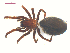  ( - 10-SKBC-0691)  @11 [ ] CreativeCommons - Attribution (2010) Unspecified Centre for Biodiversity Genomics