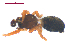  ( - 10-SKBC-0407)  @12 [ ] CreativeCommons - Attribution (2010) Unspecified Centre for Biodiversity Genomics