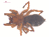  ( - 10-SKBC-0124)  @12 [ ] CreativeCommons - Attribution (2010) Unspecified Centre for Biodiversity Genomics
