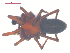  ( - 10-SKBC-0318)  @12 [ ] CreativeCommons - Attribution (2010) Unspecified Centre for Biodiversity Genomics