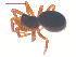  ( - 10-SKBC-0321)  @12 [ ] CreativeCommons - Attribution (2010) Unspecified Centre for Biodiversity Genomics