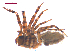  ( - 10-SKBC-0479)  @12 [ ] CreativeCommons - Attribution (2010) Unspecified Centre for Biodiversity Genomics
