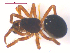  ( - 10-SKBC-0326)  @11 [ ] CreativeCommons - Attribution (2010) Unspecified Centre for Biodiversity Genomics