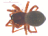  ( - 10-SKBC-0238)  @13 [ ] CreativeCommons - Attribution (2010) Unspecified Centre for Biodiversity Genomics