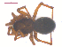  ( - 10-SKBC-0290)  @13 [ ] CreativeCommons - Attribution (2010) Unspecified Centre for Biodiversity Genomics