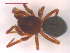  ( - 10-SKBC-0336)  @13 [ ] CreativeCommons - Attribution (2010) Unspecified Centre for Biodiversity Genomics